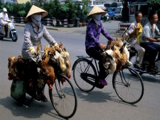 Hanoi-das-Leben